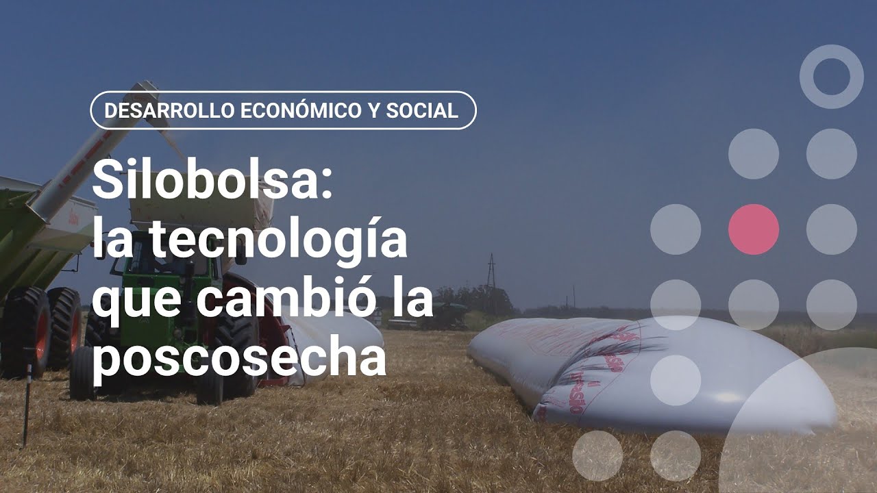 Silobolsa: la tecnología que cambió la poscosecha
