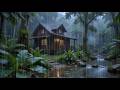 Rain Sounds on Window Cozy Bedroom ⛈️ Thunderstorm for Sleep, Study and Relaxation (8 Hours)
