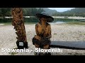 Sowenia  slovenia