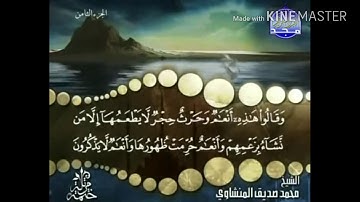 سورة الأنعام - من آية ( 138 ) إلى آية ( 142 ) - للشيخ : محمد صديق المنشاوي .