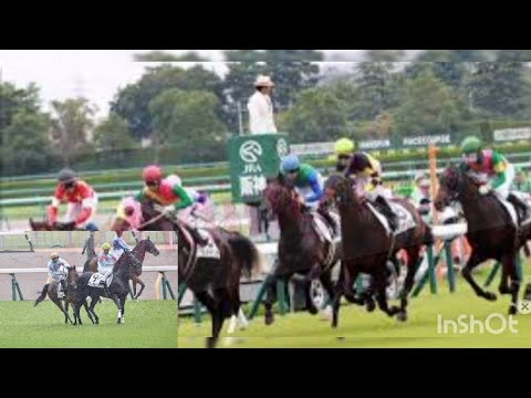 【東京6R】横山武史騎手の落馬に批判殺到。許せない（スマイルコレクター 競馬）°°° Trending land***