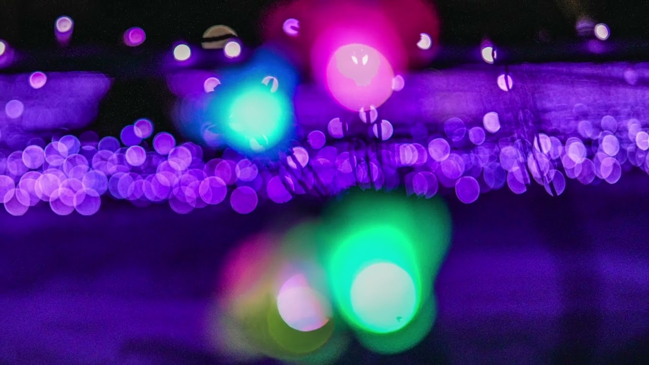 2026 2 14石神の丘「冬の花畑」