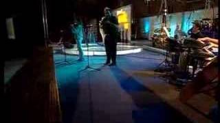 Kamelija - MIK