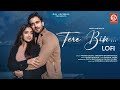 Tere Bin Lofi Javed Mohsin Yasser Desai Sireesha Zayn Ibad Khan Khushi Dubey Tere Bin Lofi Javed Mohsin Yasser Desai Sireesha Zayn Ibad Khan Khushi Dubey
