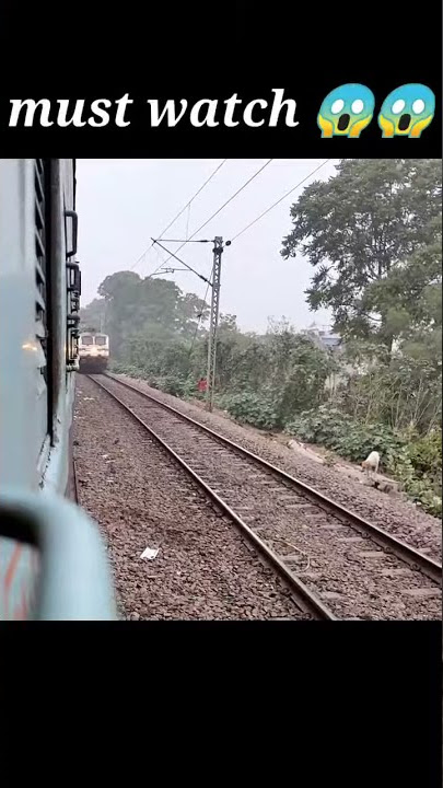 superfast train accidentally killed street dogs puppy😭😭 #shorts #killedpuppy