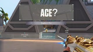 Am I The Most Dogfart Jett