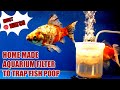 DIY Aquarium Filter | Make Fish Waste Aquarium Filter At Home