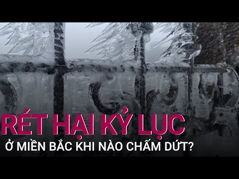 Video: Nhà trên ván có lạnh không?