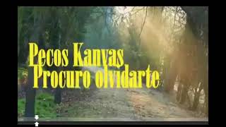 Version 2 of the video