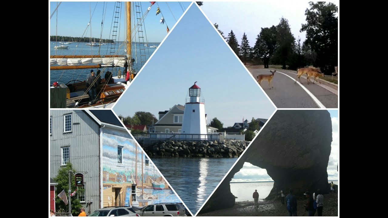 NEW BRUNSWICK TODAY YOUTUBE visual data 3