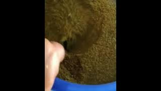 Bubur Asyura ulu Perak..Lenggong