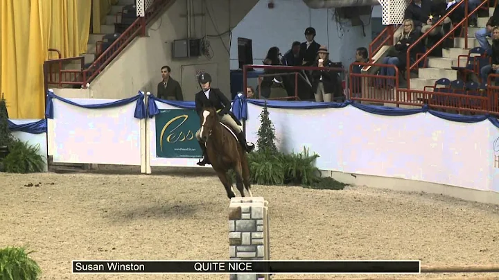 787 QUITE NICE Susan Winston, Class 135 Amateur Ow...