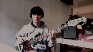 Vignette de la vidéo "The Strokes - Someday (Bass cover over backing track)"