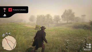 Red Dead Redemption 2_20240608081348