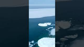 Pure Michigan Manistee North Pierhead Lighthouse After Polar Vortex