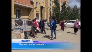 Неприятное соседство: один из многоэтажных домов в мкр Болашак захватили тараканы Неприятное соседство: один из многоэтажных домов в мкр Болашак захватили тараканы