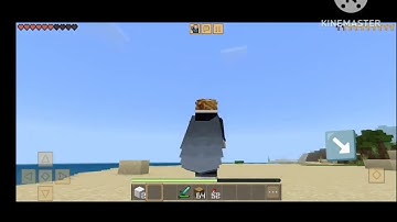 How to use Elytra in Minecraft and Crafting and Building