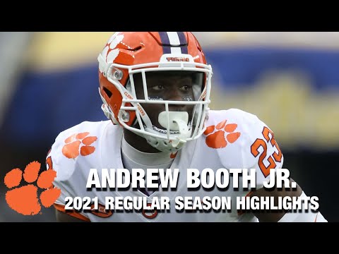 Andrew Booth Jr. 2021 Regular Season Highlights | Clemson DB