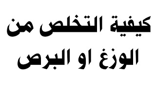 كيفية التخلص من الوزغ او البرص من البيت