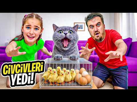EYVAH BÜCÜR CİVCİV YUMURTALARINI KIRDI ‼️ ELİF SİNEM NAPTI ?!