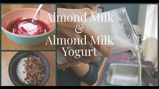 Easy PlantBased Almond Milk and Yogurt Recipe (No Instant Pot, Yogurt Maker, or Thermometer)