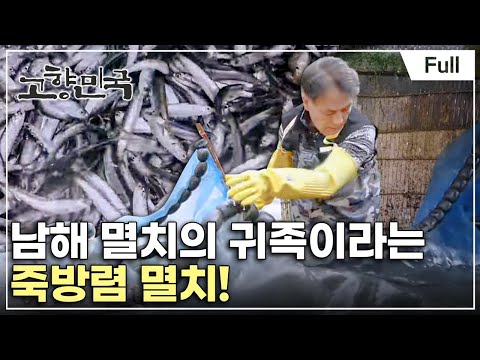 [Full] 고향민국 - 남해, 멸치에 살어리랏다