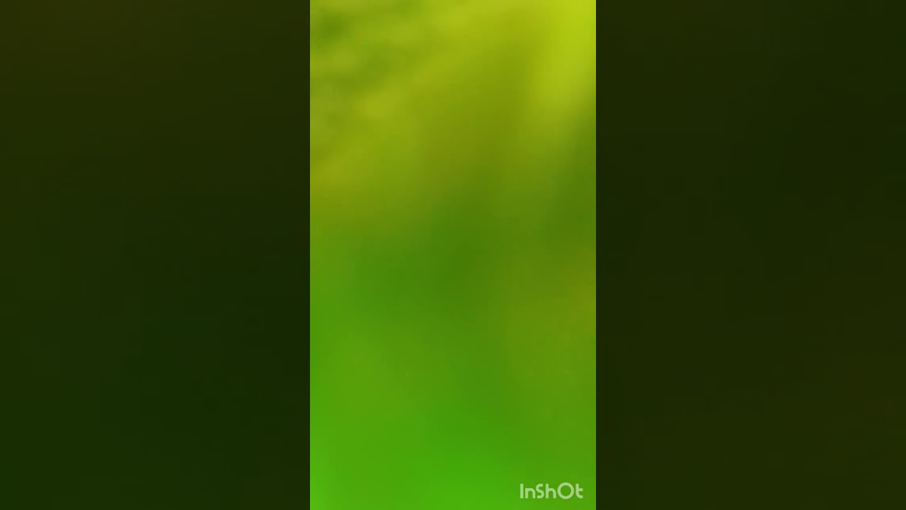 الانسان الزوهري الرباني النوراني وطريقة تخلصه من الأسحار.رقم الواتساب للعلاج 00212650657005