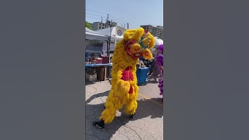 Thumbnail of Chinese Lion Dragon Dance | #china #chinese #dragondancing #liondance #fun #summer #shorts