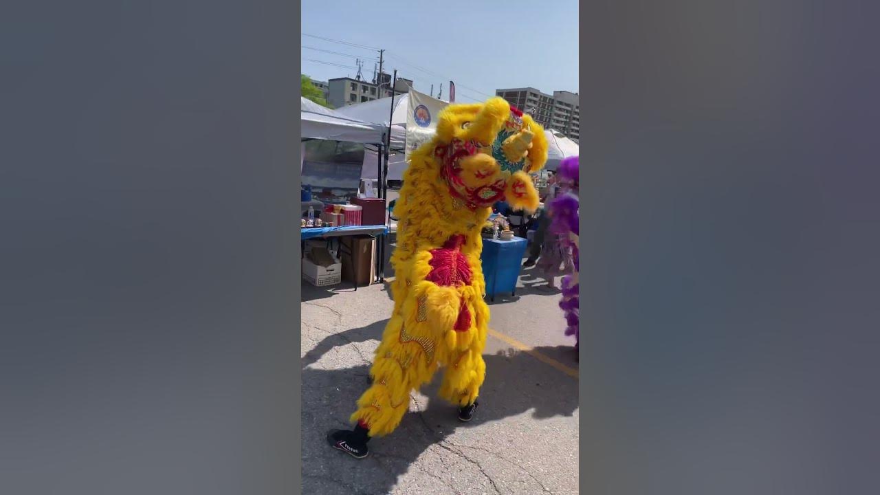 Chinese Lion Dragon Dance | #china #chinese #dragondancing #liondance #fun #summer #shorts