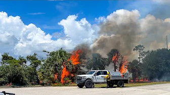 225 Acres Set Ablaze | Inside a Massive Prescribed Burn in Florida