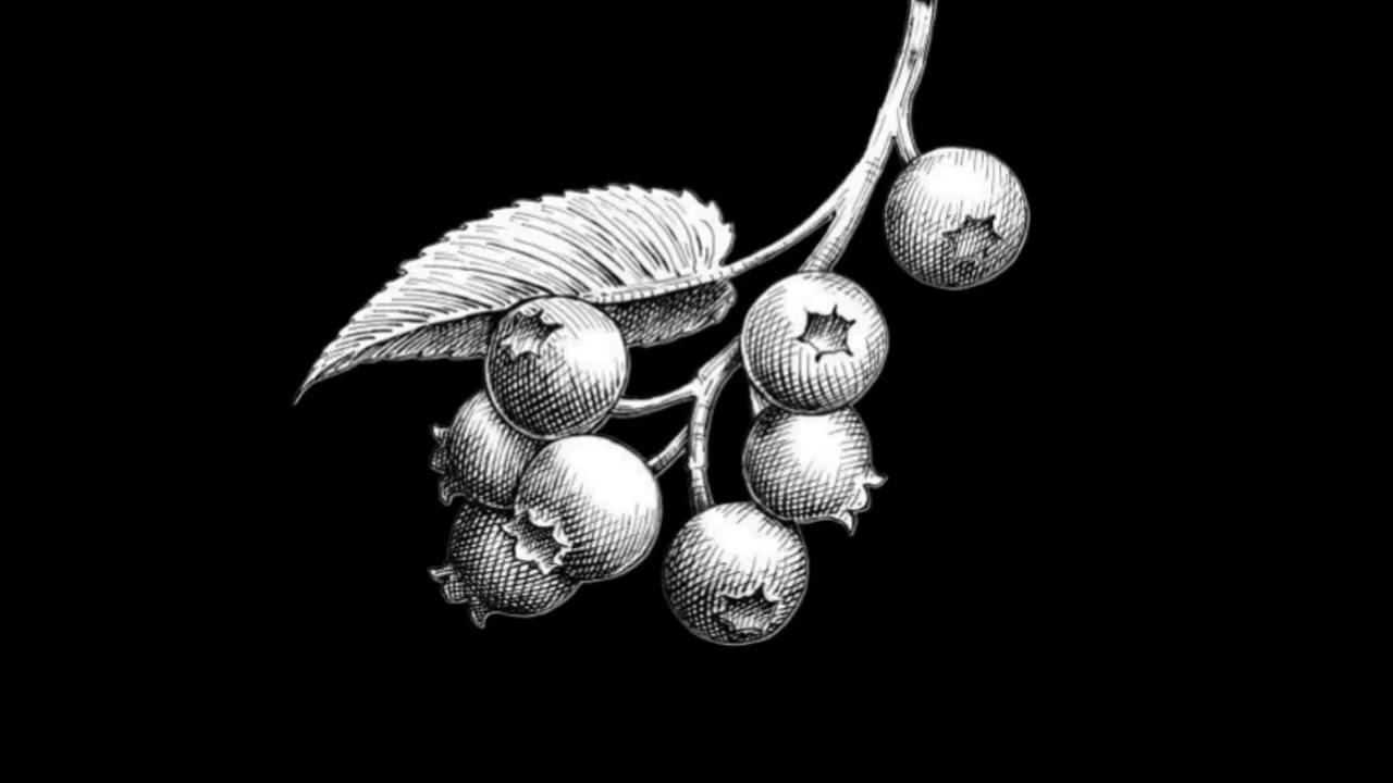 Eric May - Amor Precario (ft. Plugstar22, Molina Frosh)