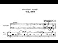 Johann strauss ii  liebeslieder  walzer op 114