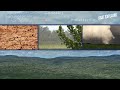 Geographical Features and Ecoregions of South Texas
