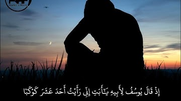 سُـورة يوسُـف ❤️🫀.  بصوت الشيخ حسن صالح ❤️🫀. قرآن كريم حالات واتس دينية #Naderxblack