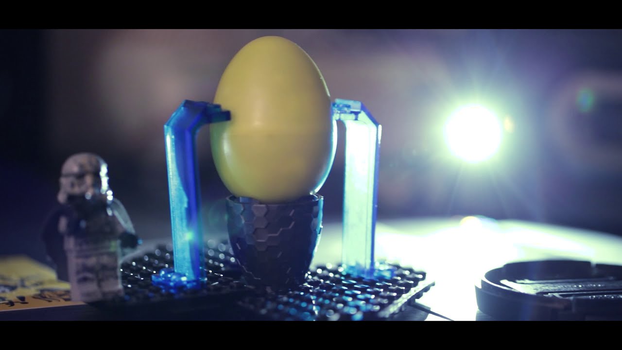 EGGcercise - This Guy Edits Challenge