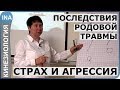 Влияние родовой травмы на осанку и характер. Кинезиология.