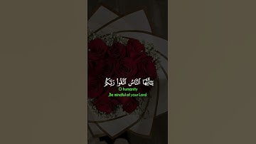 قرآن كريم تلاوه تريح القلب