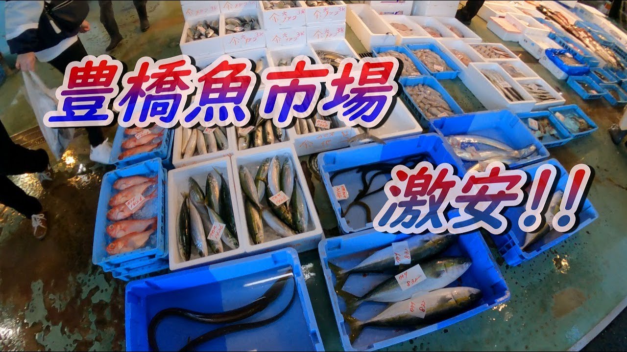 浜名湖 釣り 泳がせ釣りで釣れないので妻様と魚市場にお魚を買いに行った Youtube 浜名湖 釣り 泳がせ釣りで釣れないので妻様と魚市場にお魚を買いに行った Youtube