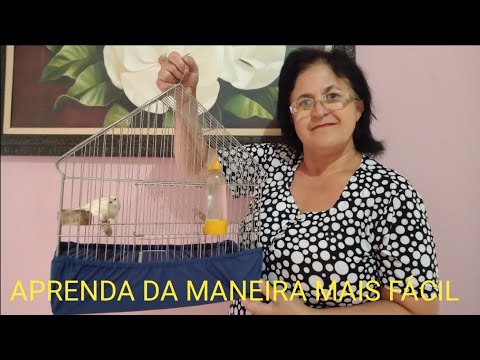 Vídeo: Como fazer seu próprio champô do cão