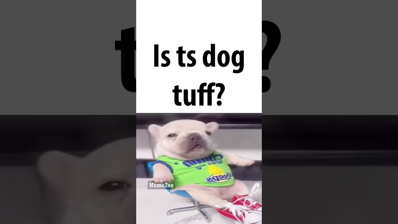 is ts tuff?
