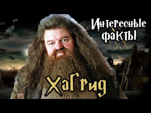 Видео: Робби Колтрейн Собственный капитал: Вики, женат, семья, свадьба, зарплата, братья и сестры