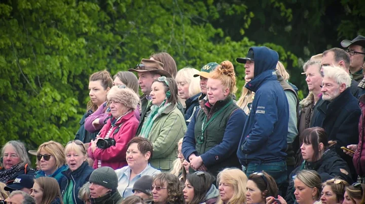 Badminton Horse Trials: Final Horse Inspection - DayDayNews