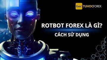 Robot Forex Là Gì? Hướng Dẫn Sử Dụng Robot Forex Hiệu Quả