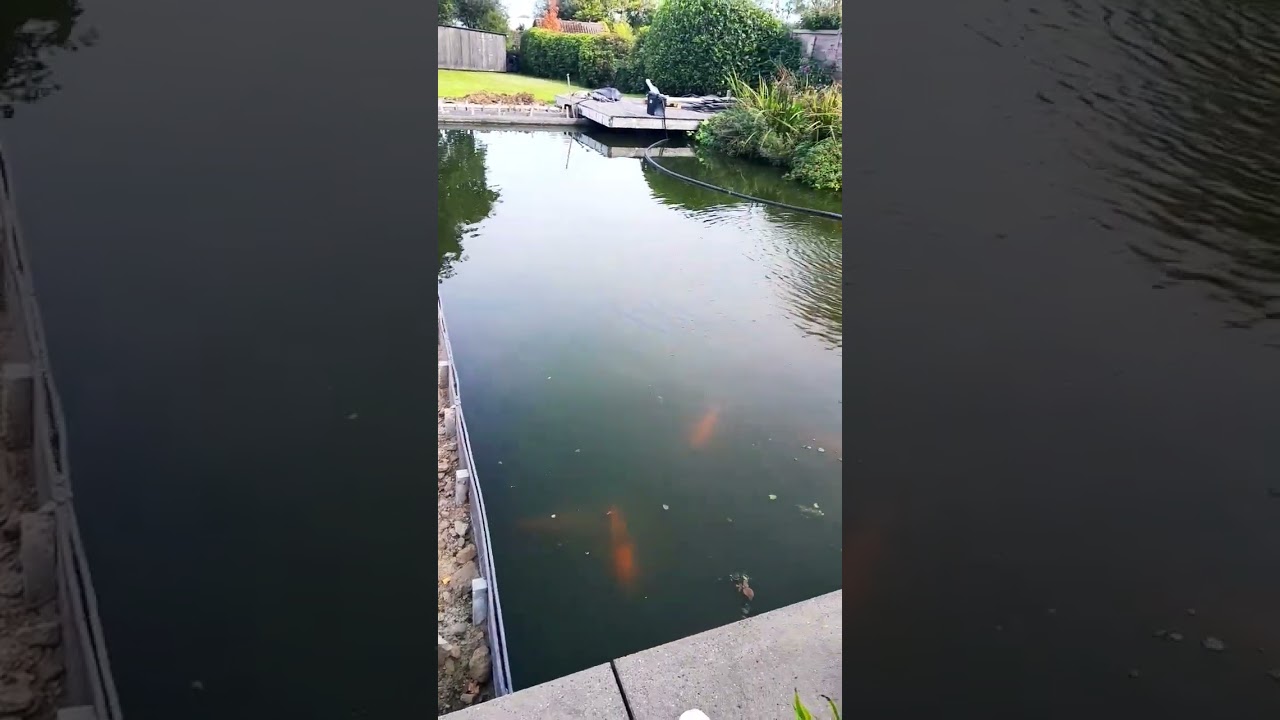 Ook vijverwerken  door K-reef, #meditationmusic #relaxing #ponds #vijver