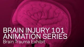Traumatic Brain Injury Animation - TBI 101
