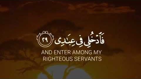 قرآن كريم بصوت خاشع ❤🌿 القارئ خالد الجليل  | حالات واتس اب دينية قصيرة 🎧💙