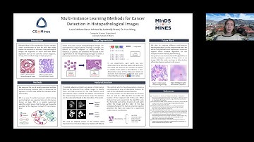 Lucia B. - Multi-Instance Learning Methods for Cancer Detection in Histopathological... - VURS 2021