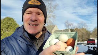 Detailed How to Overcome the High Price of Eggs! Profile