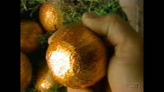 Tobler Chocolate Orange Commercial 2000