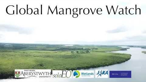 Introduction to the Global Mangrove Watch